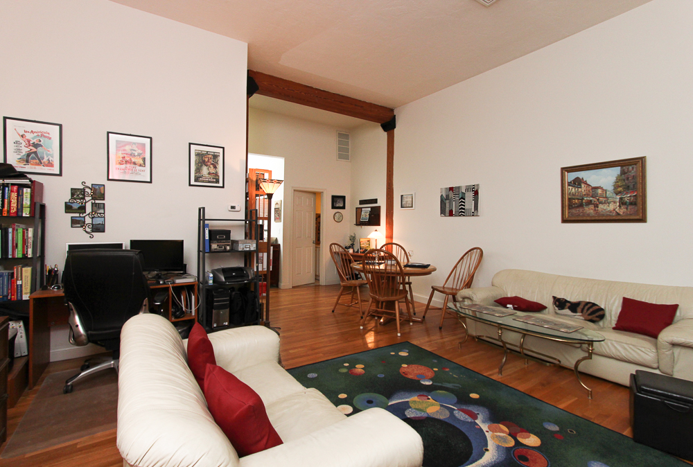 Living Room 253 Norfolk Street Cambridge, MA