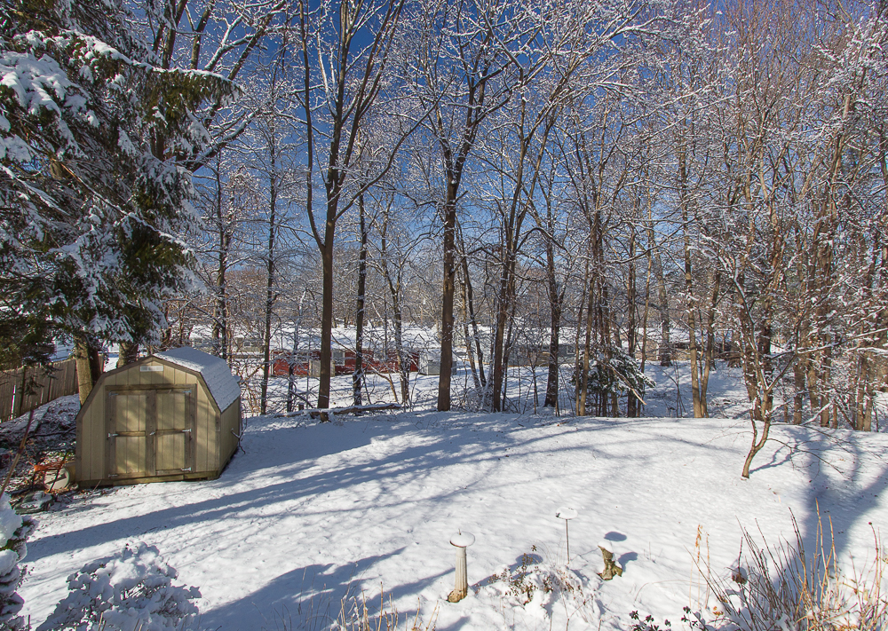 Back yard with snow 55 Putnam Street Beverly Massachusetts