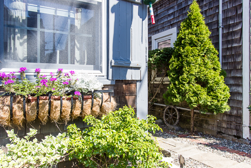 Window box in front of 12 Middle Road Rockport MA