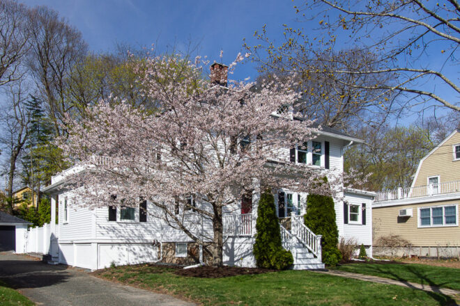 Cherry Tree 28 Bertram Street Beverly MA